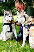 Imagen de The Dog House (T2): Ep.2 - 1