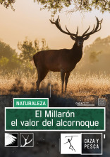Imagen de El Millarón. El valor del Alcornoque - 1