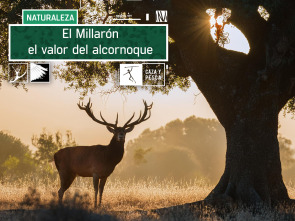 Imagen de El Millarón. El valor del Alcornoque - 2