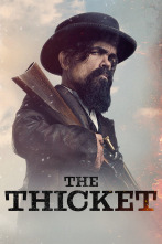 (LSE) - The Thicket