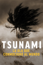 Imagen de Tsunami: la ola que conmocionó al mundo  - 1