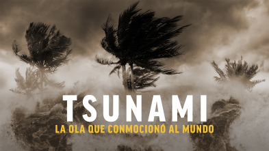 Imagen de Tsunami: la ola que conmocionó al mundo  - 2