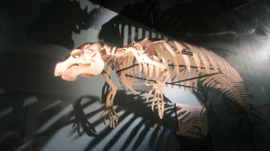 Imagen de Misterios en el museo: Desastre en un rascacielos y otros misterios - 2
