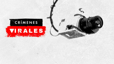 Crímenes virales 