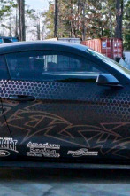 Texas Metal (T7): Mustang para su información