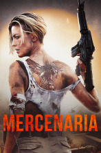 Mercenaria