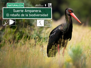 Suerte Ampanera, rebaño de biodiversidad