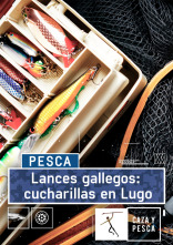 Lances gallegos: cucharillas en Lugo
