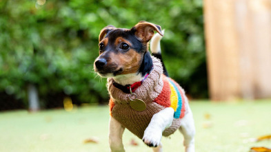 The Dog House (T3): Ep.5
