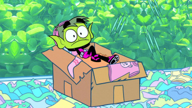 Teen Titans Go! (T1): Chico fantasma