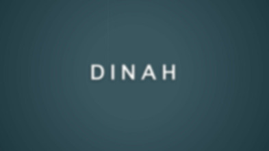 High Maintenance,... (T1): Ep.7 Dinah