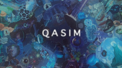 High Maintenance,... (T1): Ep.11 Qasim