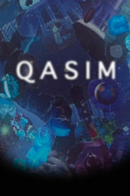 High Maintenance,... (T1): Ep.11 Qasim