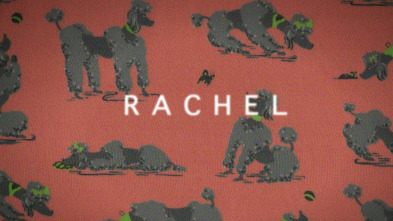 High Maintenance,... (T1): Ep.13 Rachel