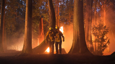 Fire Country (T1): Ep.1 Pilot