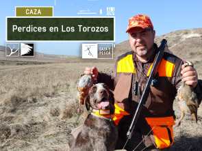 Imagen de Perdices en Los Torozos - 2