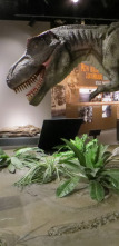 Imagen de Misterios en el museo: Gérmenes espaciales asesinos y otros misterios - 1