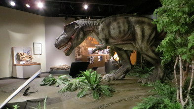 Imagen de Misterios en el museo: Gérmenes espaciales asesinos y otros misterios - 2
