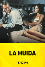 La huída
