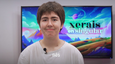 Imagen de Xerais en singular (T1): Heartstopper. Rapaz coñece rapaz - 2