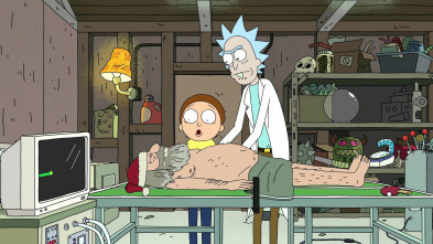 Rick y Morty (T1): Ep.3 Parque anatómico
