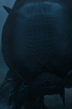 Imagen de Invasión (T2): Ep.6 Puntos de presión - 1