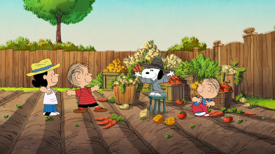 Imagen de El show de Snoopy (T2): La felicidad es tu objeto favorito - 2