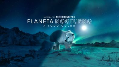 Imagen de Planeta nocturno: a todo color  - 2
