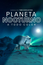 Imagen de Planeta nocturno: a todo color  - 1