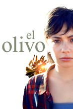 El olivo