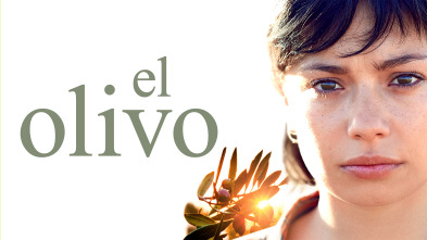 El olivo