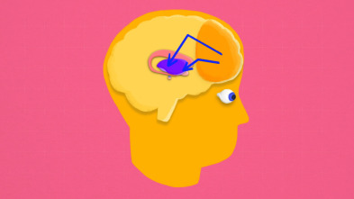 Imagen de Dopamina: hackear el cerebro - 9