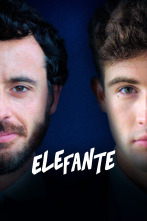 Elefante