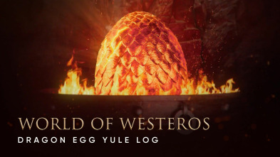 Imagen de Tu chimenea en Poniente - 2