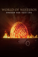 Imagen de Tu chimenea en Poniente - 1