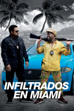 Imagen de Infiltrados en Miami - 1