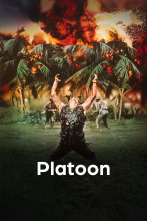 Imagen de Platoon - 1
