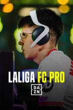 Imagen de LALIGA FC Pro - 1