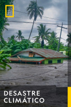 Imagen de Desastre climático  - 1
