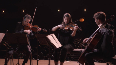 Beethoven - Complete String Quartets IV