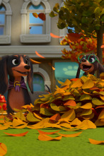 Imagen de Pretzel y sus... (T2): Bolsas para perros / ¡Tráela! - 1