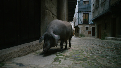 Imagen de Ingredientes para la vida: Cerdo - 2