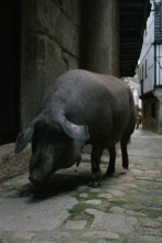Imagen de Ingredientes para la vida: Cerdo - 1