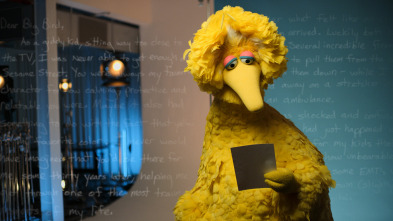 Carta a…: Big Bird