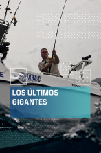 Los últimos gigantes (T4)