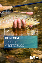 De pesca: Truchas y torreznos