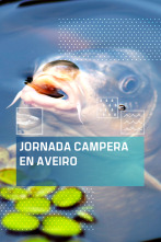 Jornada carpera en Aveiro
