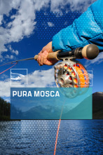 Pura mosca (T5)