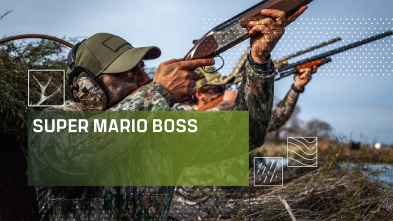 Imagen de Súper Mario Boss (T1) - 2