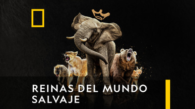 Reinas del mundo salvaje 